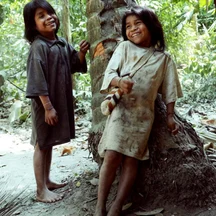 image-5-2